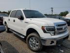 Hillsborough, NJ에서 판매 중인 2014 Ford F150 Supercrew - Burn