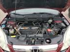 2009 Honda Cr-V Exl en Venta en Woodhaven, MI - Normal Wear