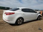 2013 Kia Optima Hybrid   продається в Brighton, CO - Front End