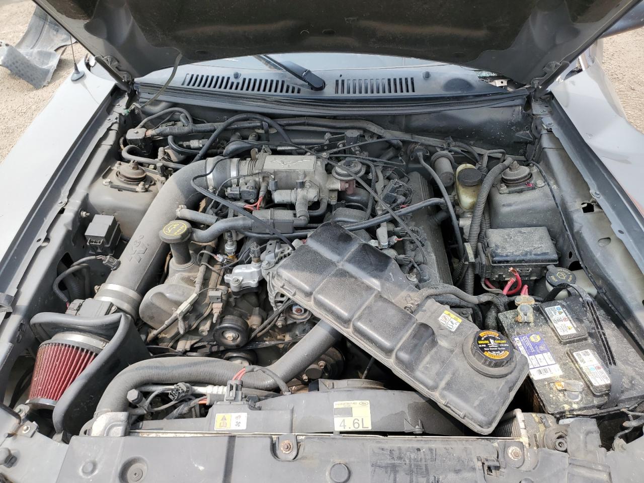 2001 Ford Mustang Gt VIN: 1FAFP45X11F126102 Lot: 59504075