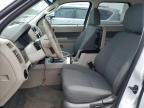 2010 Ford Escape Xlt   for Sale in Apopka, FL - Front End