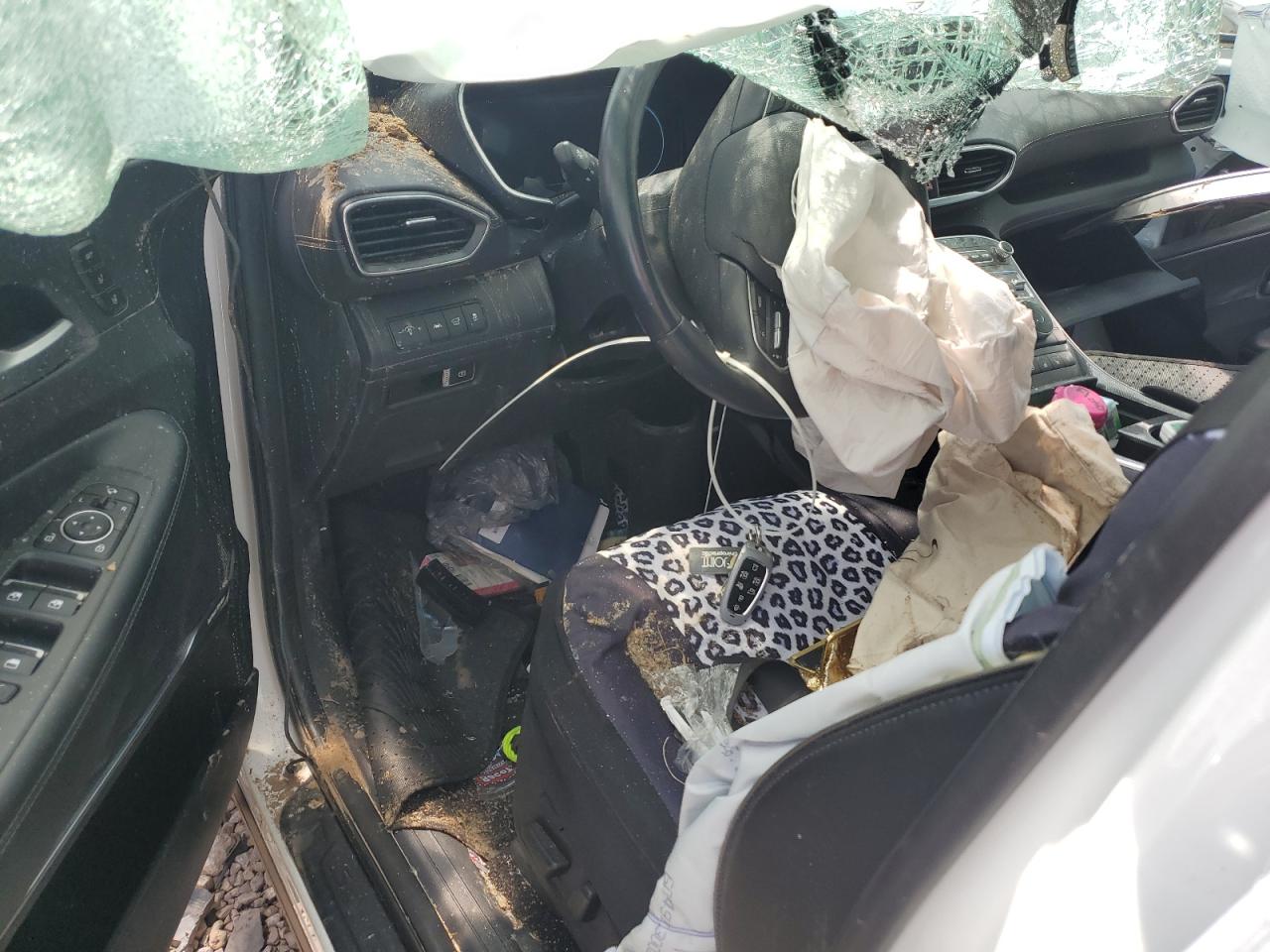 2023 Hyundai Santa Fe Limited VIN: 5NMS4DAL1PH531179 Lot: 58779545