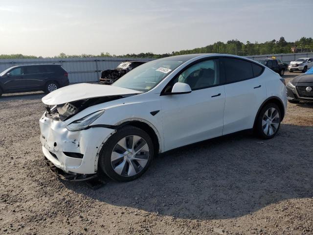 TESLA MODEL Y 2021
