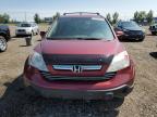 2009 HONDA CR-V EXL à vendre chez Copart AB - CALGARY