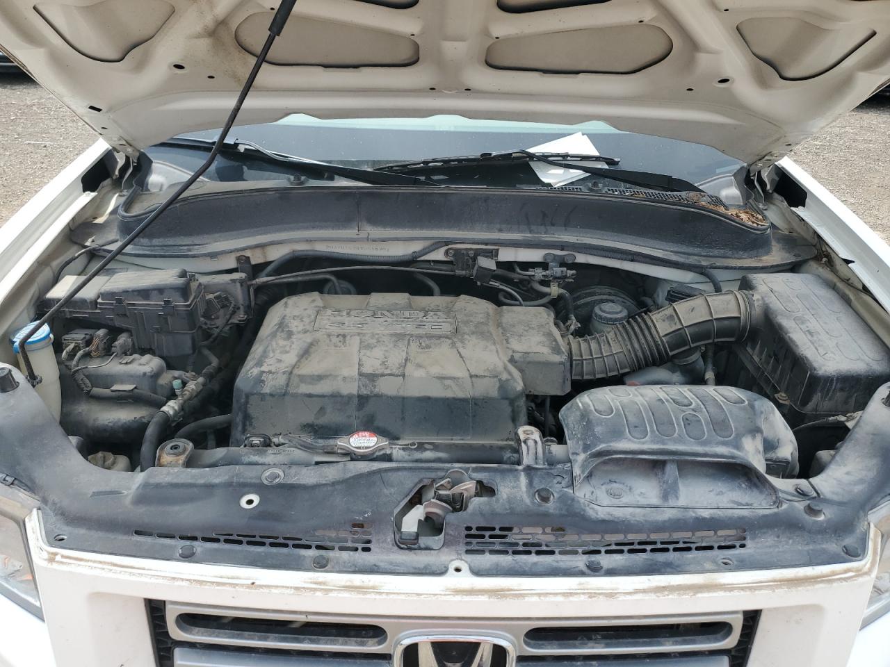 2007 Honda Ridgeline Rt VIN: 2HJYK16247H518707 Lot: 59996295