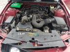 2006 Ford Mustang    for Sale in Madisonville, TN - Front End