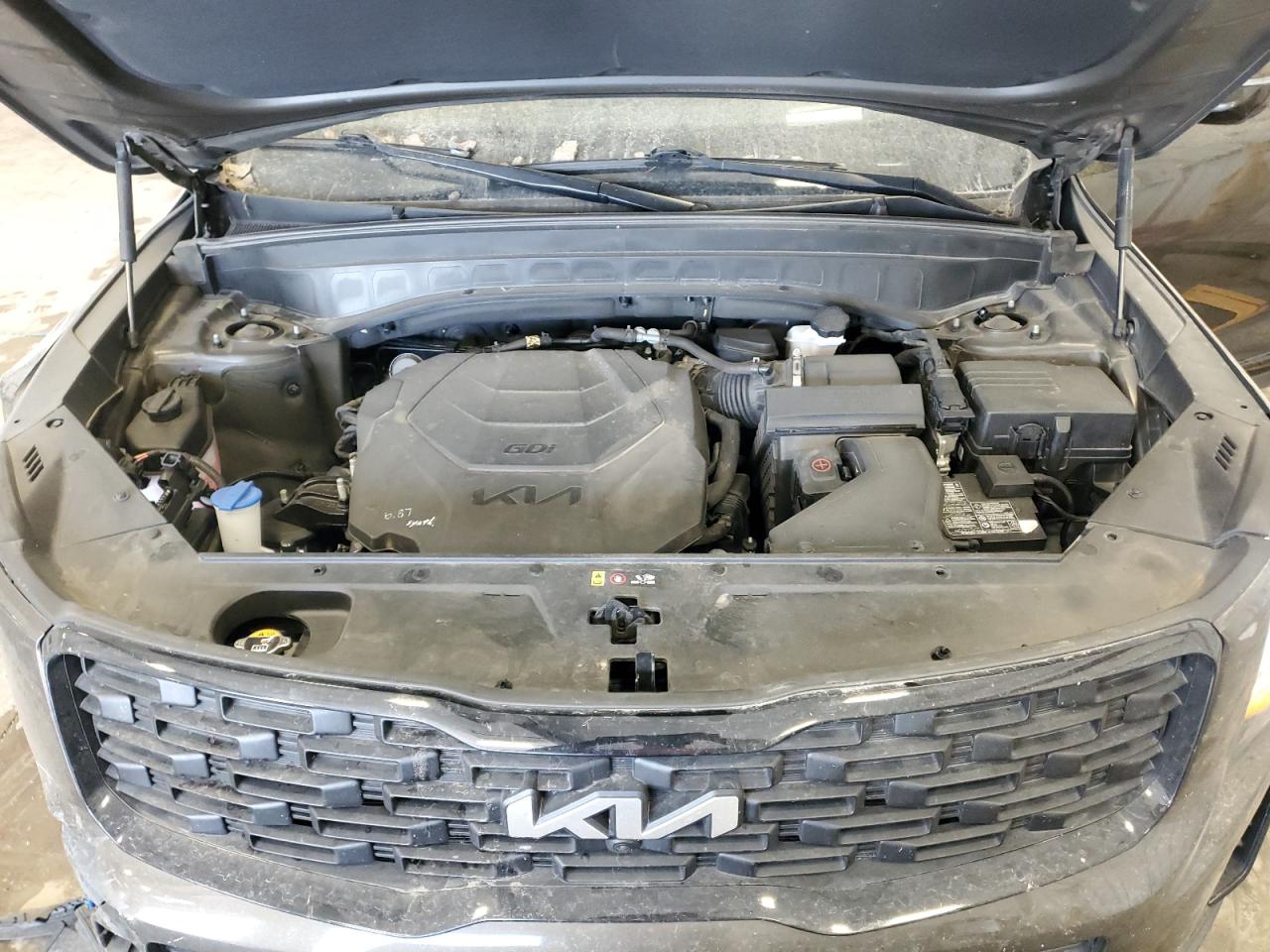 2022 Kia Telluride Sx VIN: 5XYP5DHC1NG219427 Lot: 62302595
