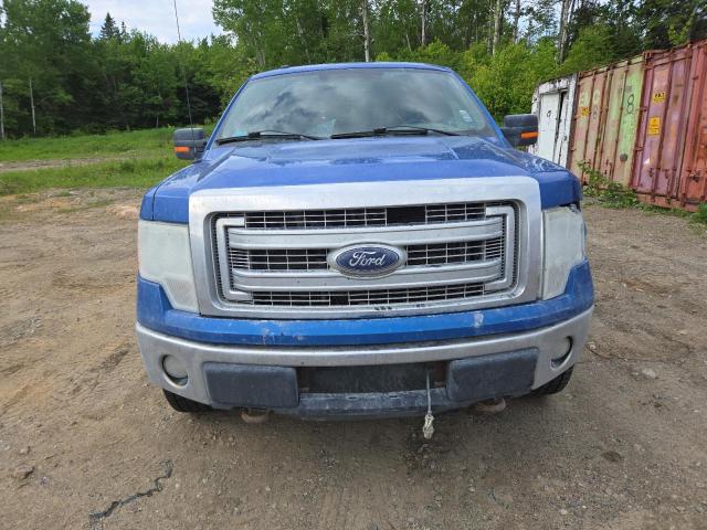  FORD F-150 2014 Blue