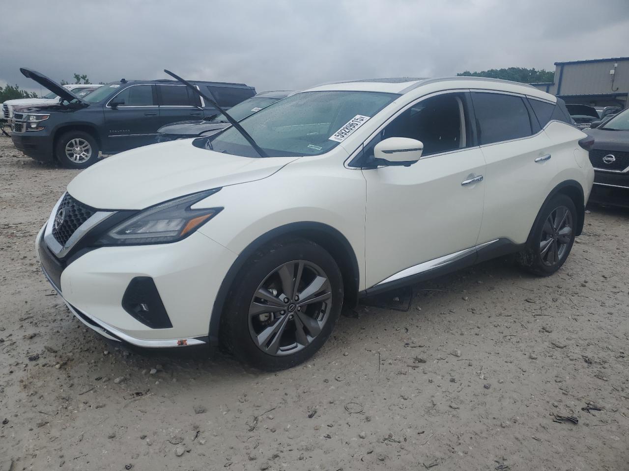 2023 Nissan Murano Platinum იყიდება Wayland-ში, MI - Side