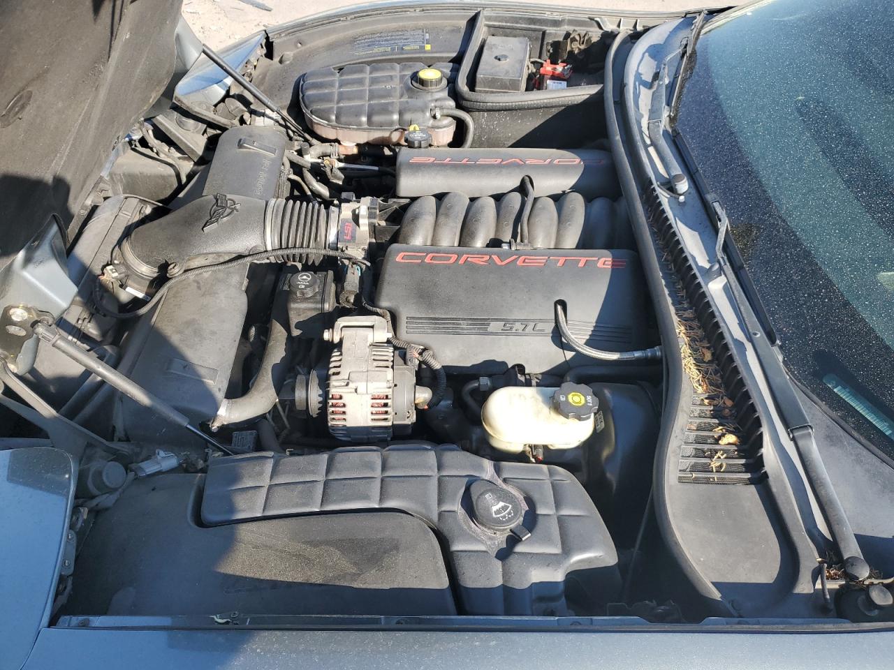 2004 Chevrolet Corvette VIN: 1G1YY22G045128581 Lot: 62787835