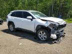 2023 TOYOTA RAV4 XLE   à vendre chez Copart ON - COOKSTOWN