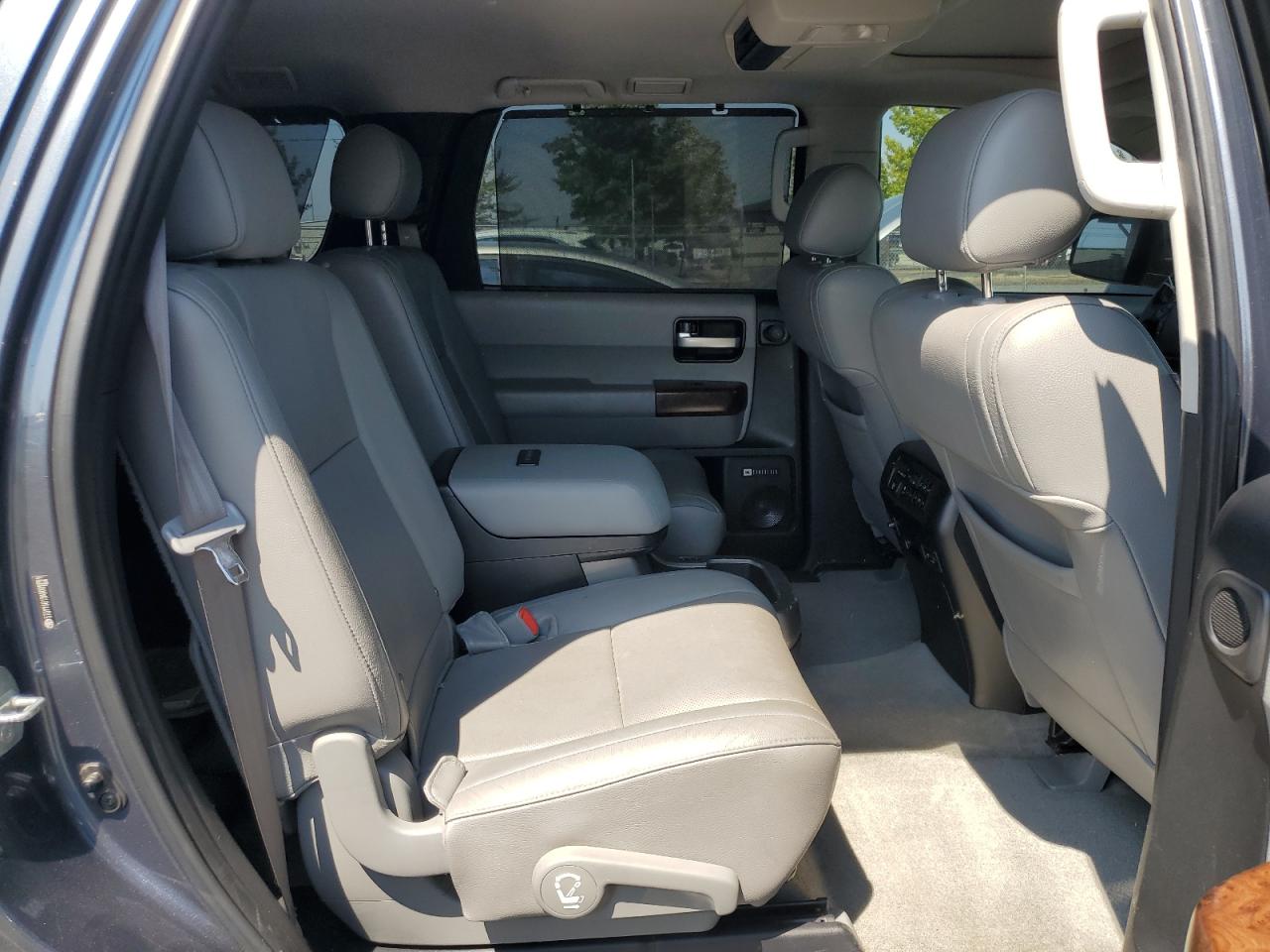2010 Toyota Sequoia Platinum VIN: 5TDYY5G13AS022791 Lot: 61993845