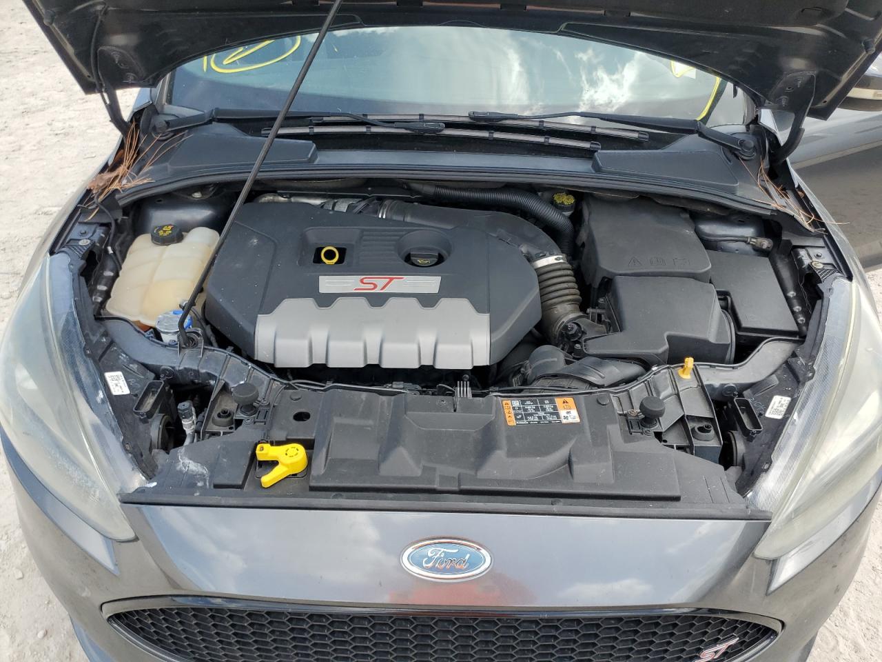 2017 Ford Focus St VIN: 1FADP3L90HL310156 Lot: 62758405