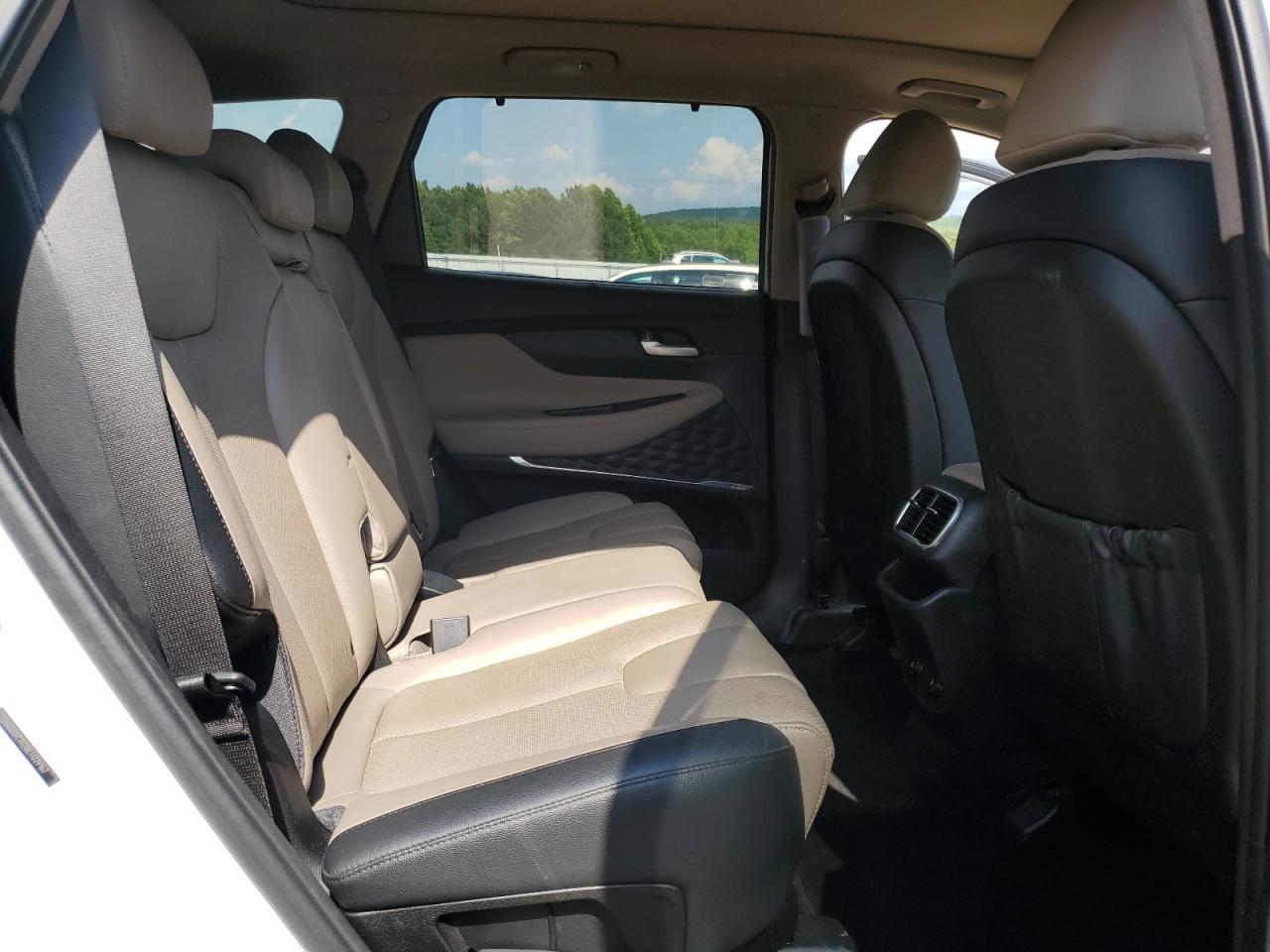 2020 Hyundai Santa Fe Sel VIN: 5NMS3CAD8LH229162 Lot: 62865695