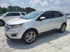 2016 Ford Edge Titanium for Sale in Loganville, GA - Minor Dent/Scratches