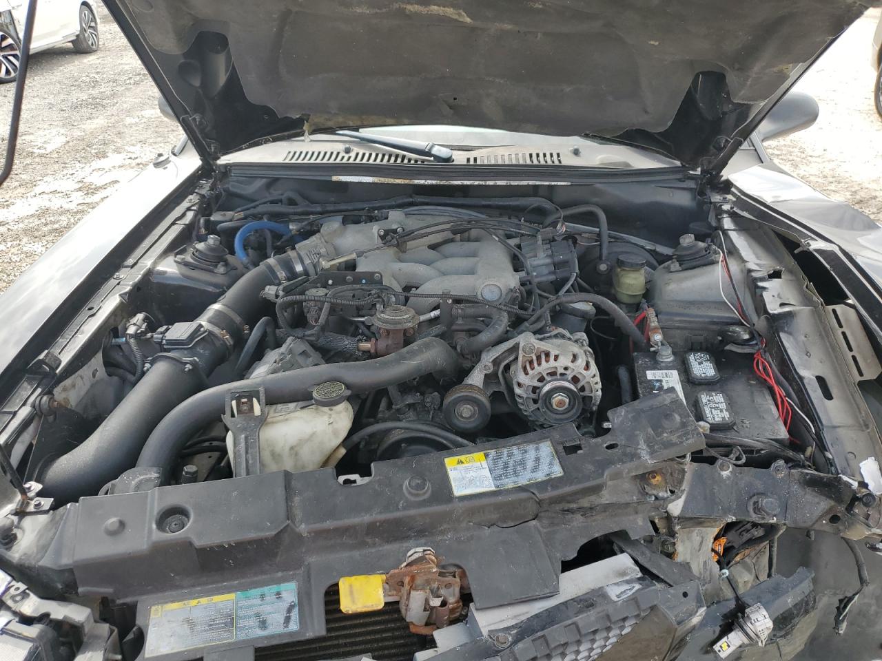 2003 Ford Mustang VIN: 1FAFP44483F446379 Lot: 62548455
