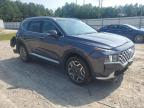 2022 Hyundai Santa Fe Sel Premium for Sale in Charles City, VA - Rear End
