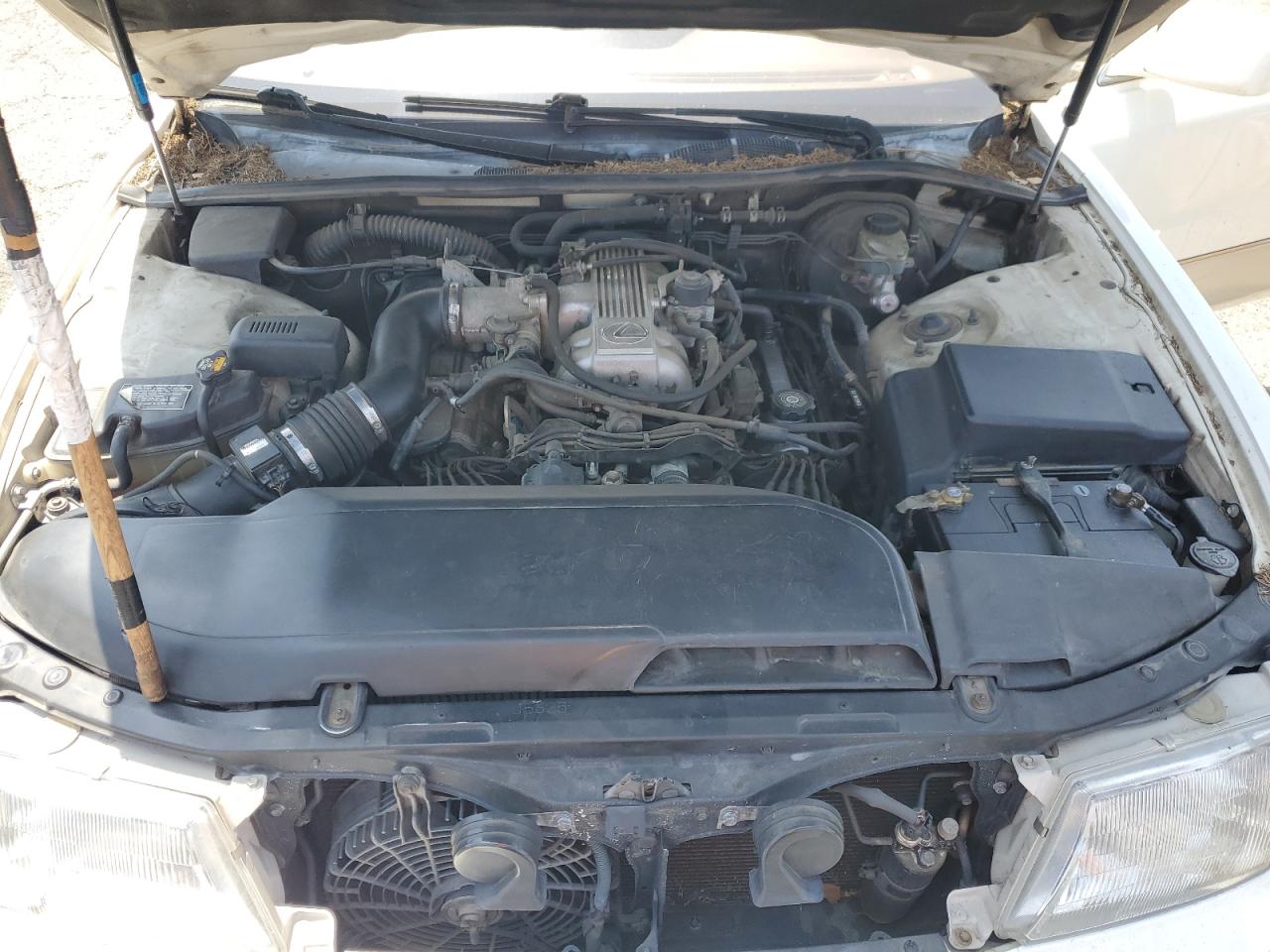 1995 Lexus Ls 400 VIN: JT8UF22E3S0031040 Lot: 62136235