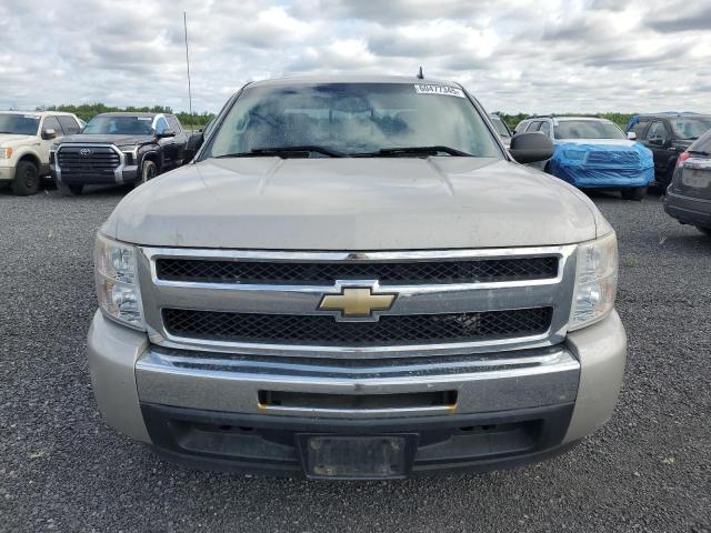 2009 CHEVROLET SILVERADO C1500  