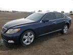 2009 LEXUS LS 460   for sale at Copart AB - CALGARY