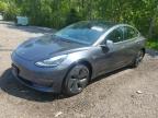 2019 TESLA MODEL 3  à vendre chez Copart ON - COOKSTOWN