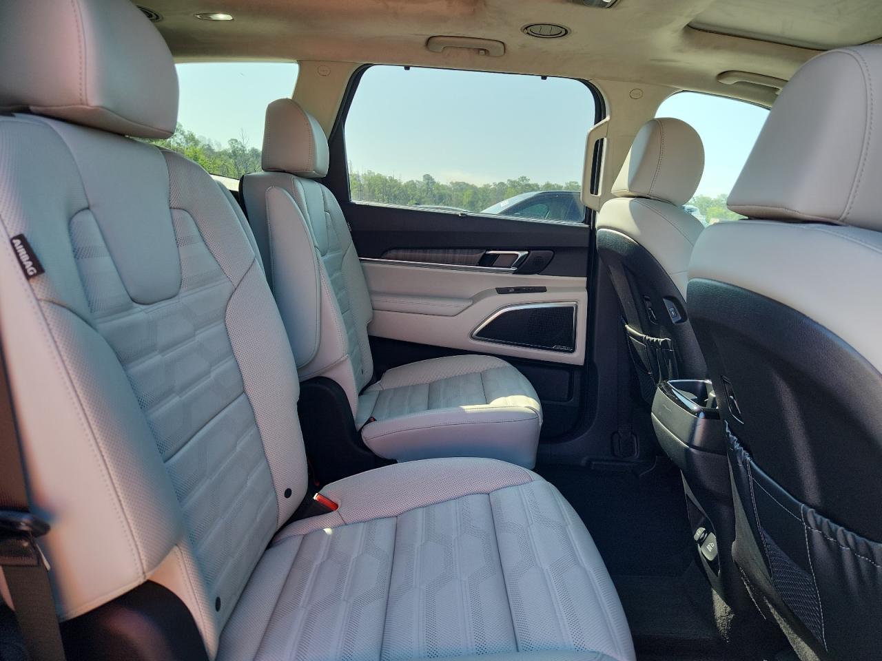 2024 Kia Telluride Sx VIN: 5XYP5DGC2RG524586 Lot: 61963595