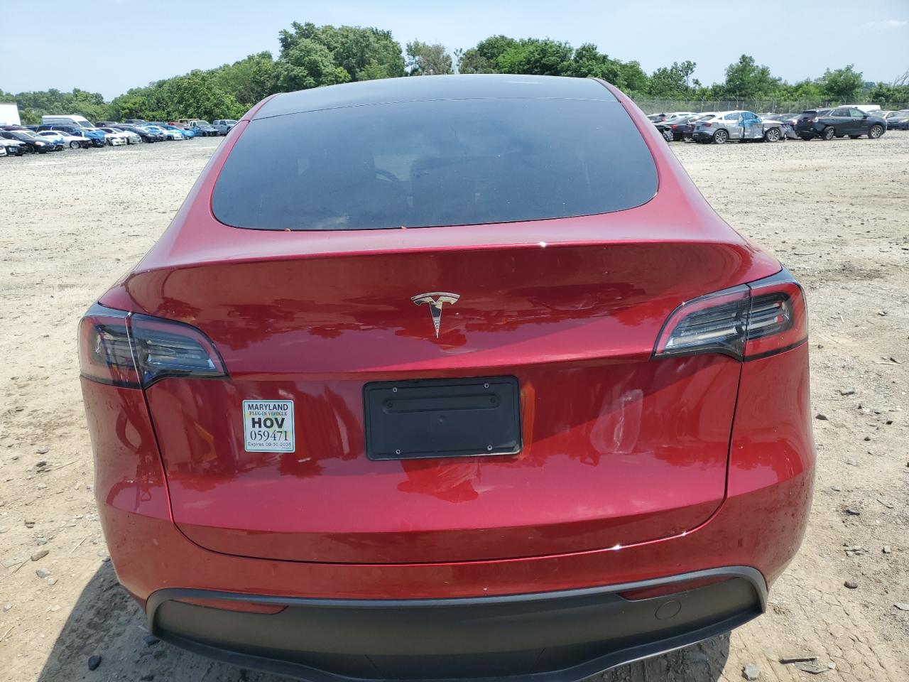 2024 Tesla Model Y VIN: 7SAYGDED6RF211660 Lot: 62097325