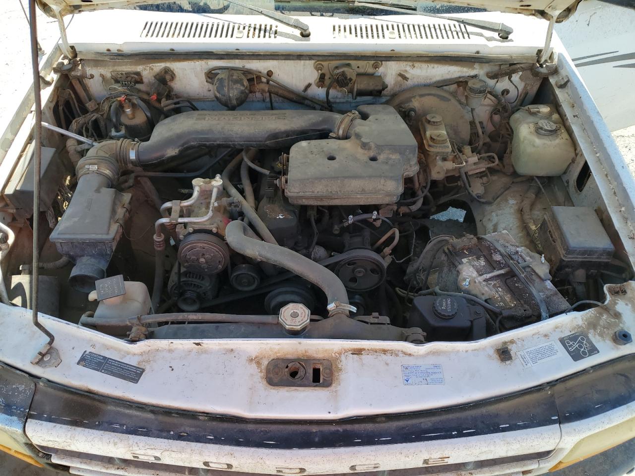 1995 Dodge Dakota VIN: 1B7FL26P3TS551839 Lot: 60354065