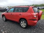 2010 Toyota Rav4  for Sale in Hillsborough, NJ - Rear End