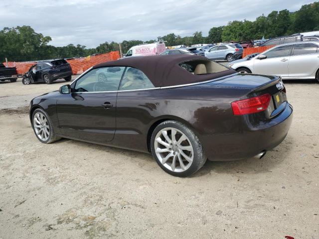  AUDI A5 2013 Brown