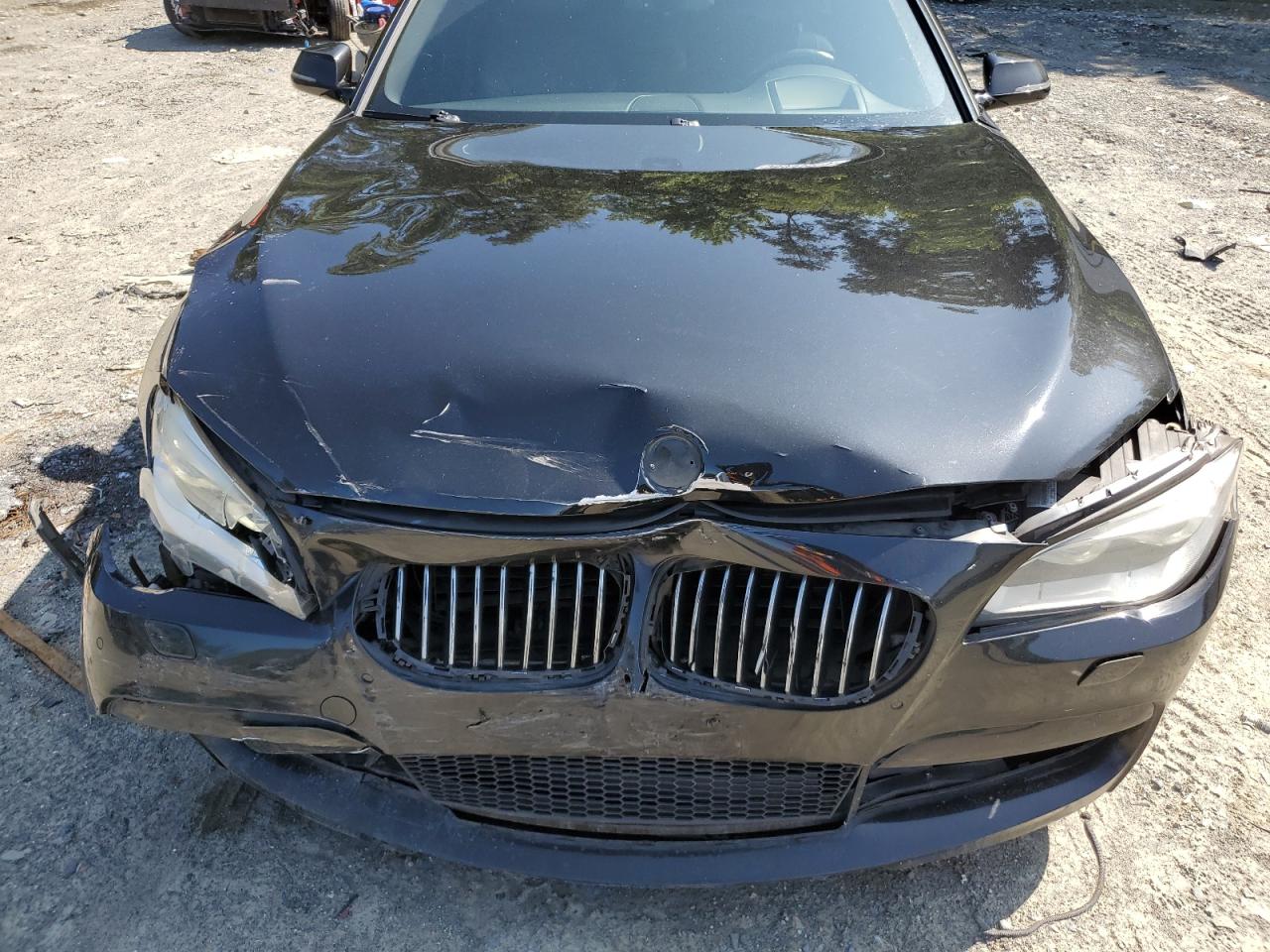 2014 BMW 750 Lxi VIN: WBAYF8C56ED142549 Lot: 58931655