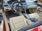 2009 Honda Accord Exl   за продажба в Baltimore, MD - Front End