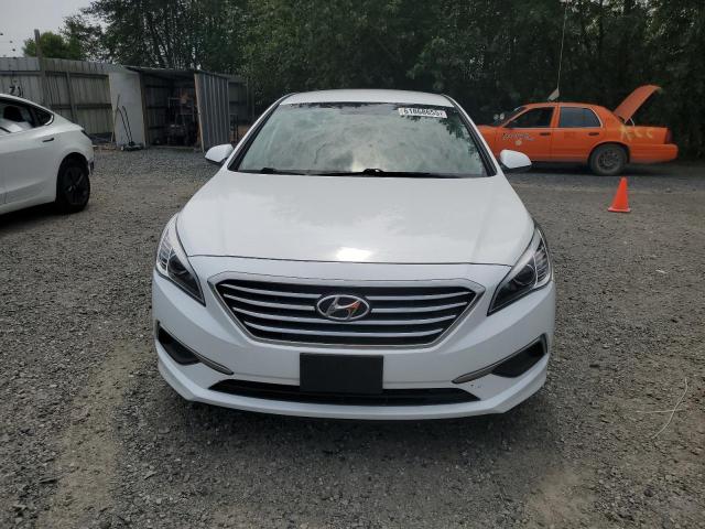  HYUNDAI SONATA 2016 White