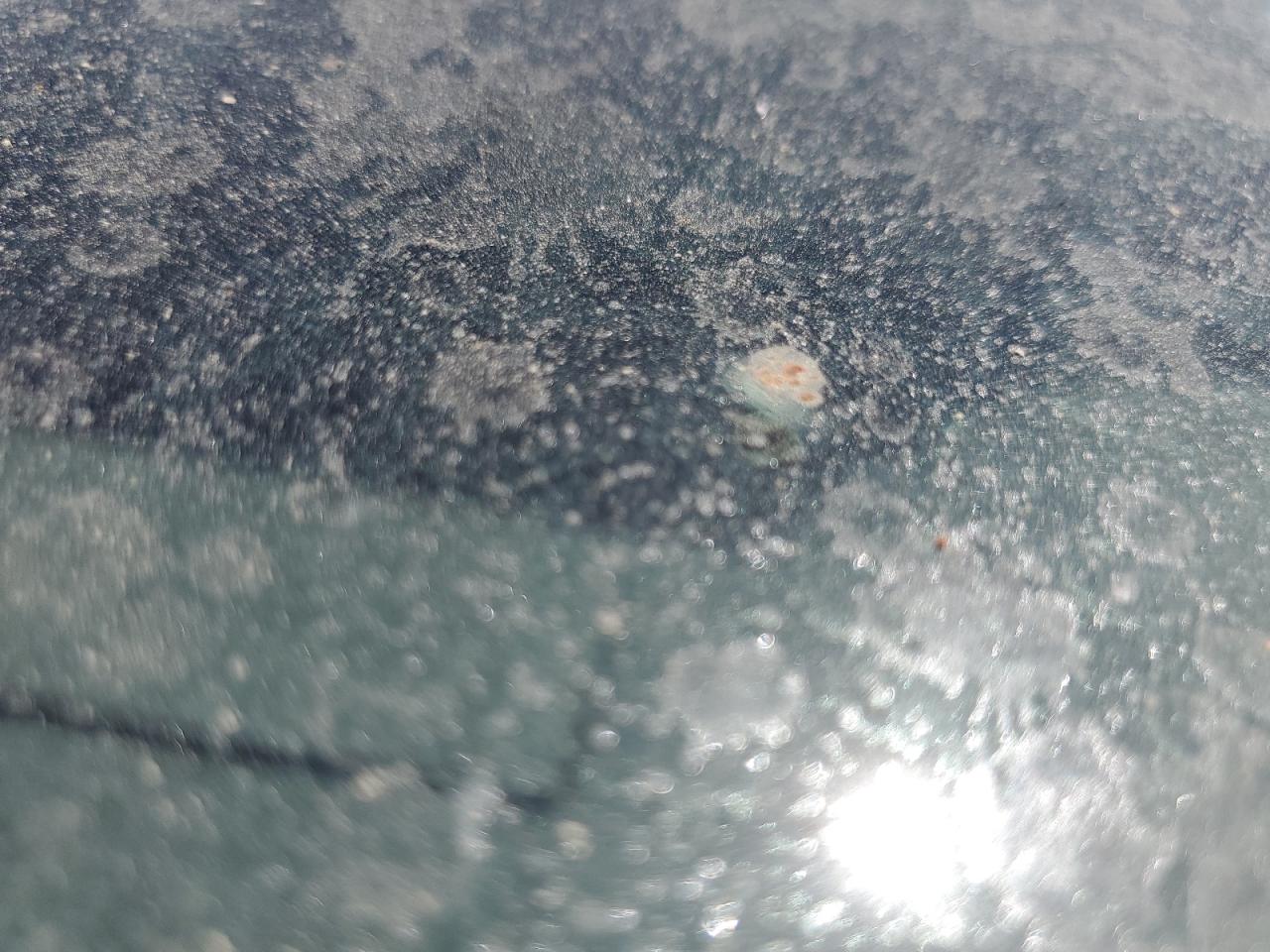 2005 Ford Freestar Se VIN: 2FMZA51625BA82481 Lot: 61629525