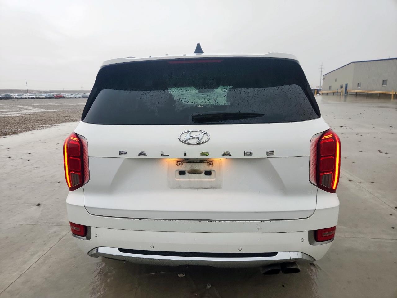 2020 Hyundai Palisade Limited VIN: KM8R54HE4LU043152 Lot: 60349005