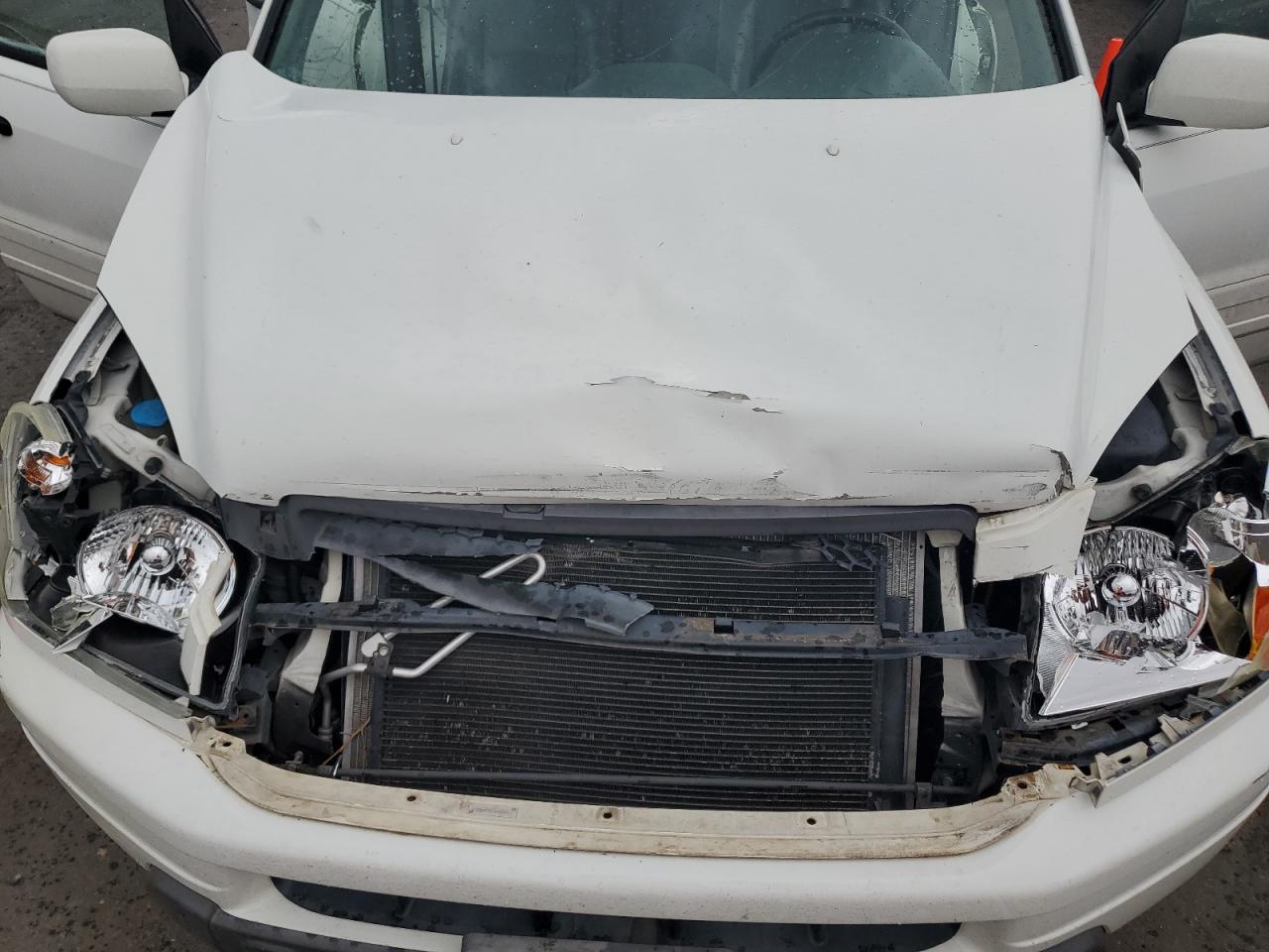 2005 Honda Pilot Exl VIN: 5FNYF18585B012428 Lot: 62513485