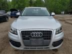 2011 Audi Q5 Premium Plus for Sale in Cookstown, ON - Rear End