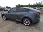 2023 TESLA MODEL Y    for sale at Copart ON - TORONTO