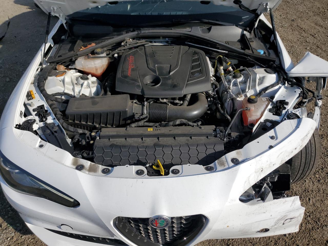 2019 Alfa Romeo Giulia VIN: ZARFAMAN3K7620432 Lot: 61294715