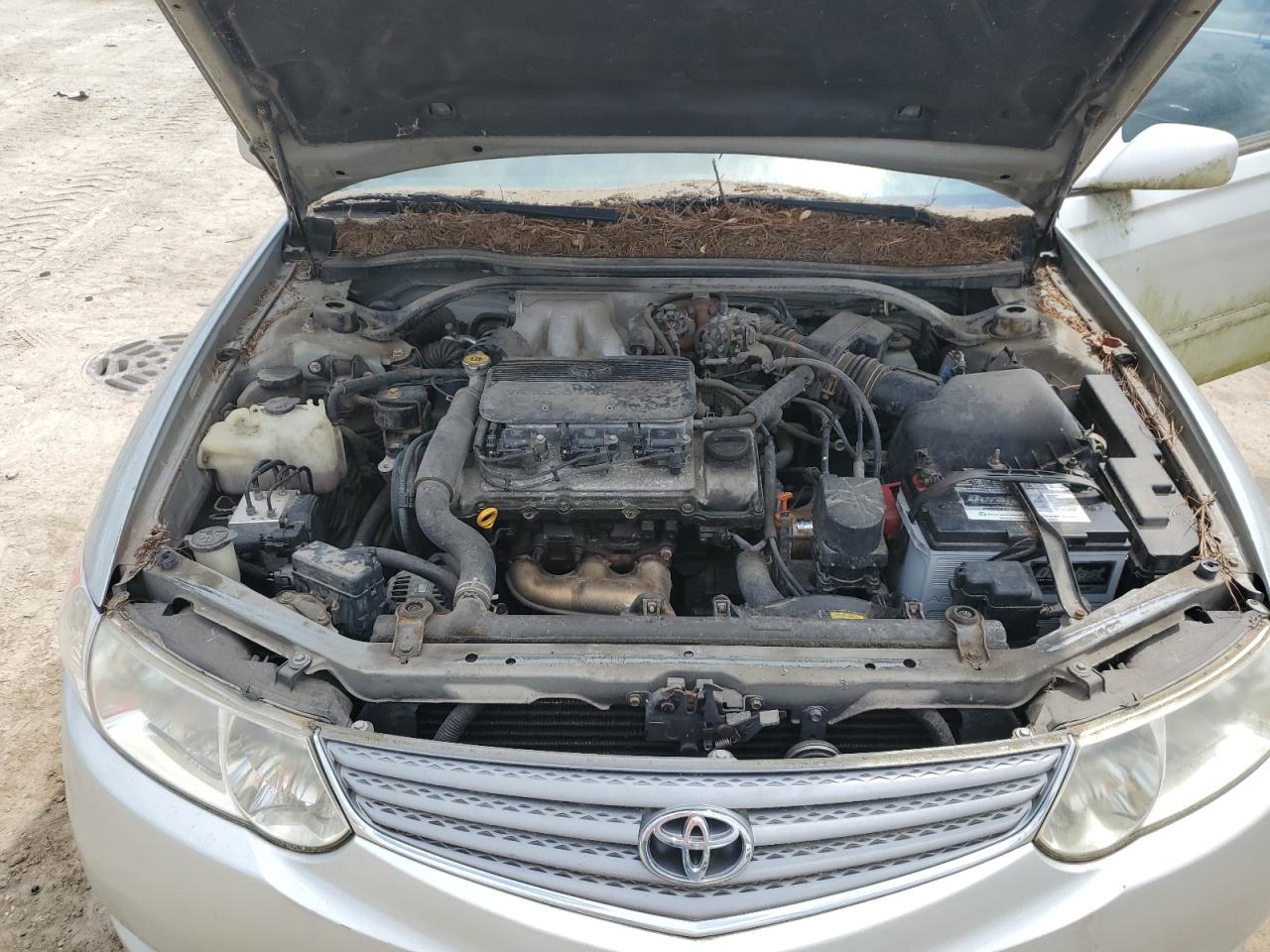 2002 Toyota Camry Solara Se VIN: 2T1FF28P42C546511 Lot: 62832865