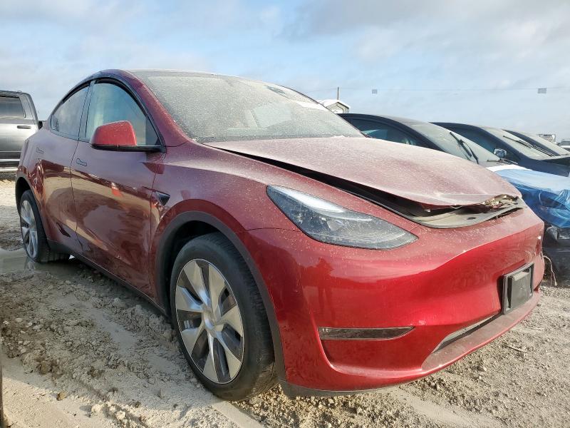  TESLA MODEL Y 2024 Czerwony