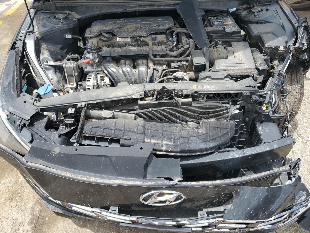 2023 Hyundai Elantra Limited VIN: 5NPLP4AG3PH097350 Lot: 62901945