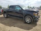 2023 Ford F150 Police Responder for Sale in Rocky View County, AB - Front End