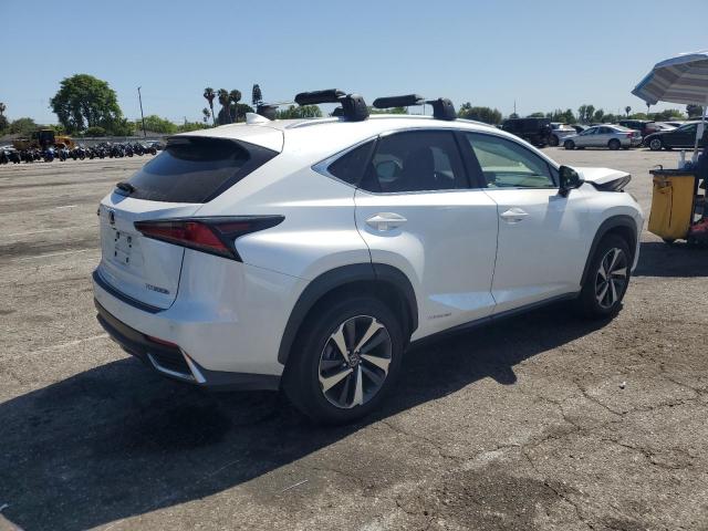  LEXUS NX 2020 Biały