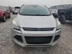 2013 Ford Escape Sel zu verkaufen in Cahokia Heights, IL - Hail