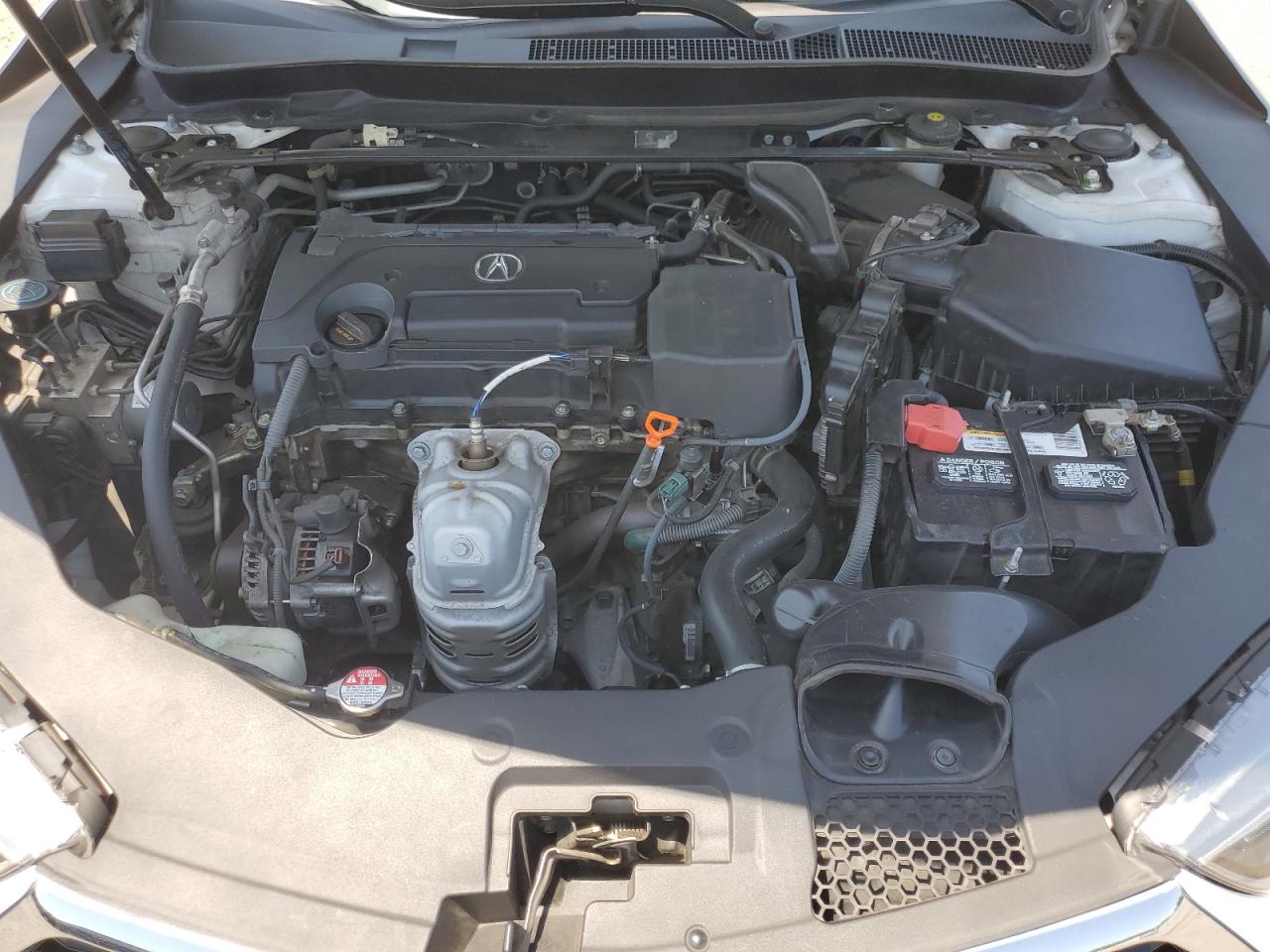 2019 Acura Tlx VIN: 19UUB1F38KA000927 Lot: 62232865