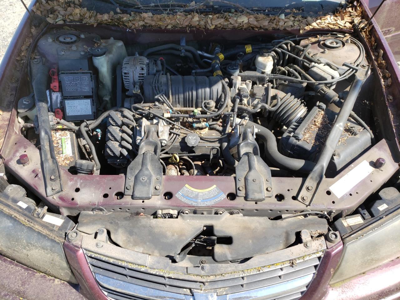 2004 Chevrolet Impala Ls VIN: 2G1WH55K649258411 Lot: 62165475