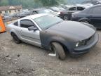 2005 Ford Mustang  for Sale in Baltimore, MD - Biohazard/Chemical