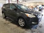 2013 Ford Escape Sel იყიდება Avon-ში, MN - Side