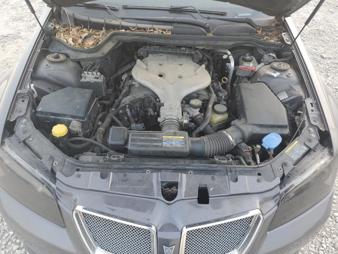 2009 Pontiac G8 VIN: 6G2ER57799L235835 Lot: 59851565